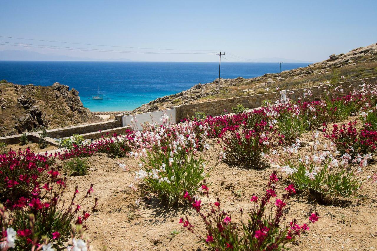 Villa Anais 1 Mykonos Elia  Luaran gambar
